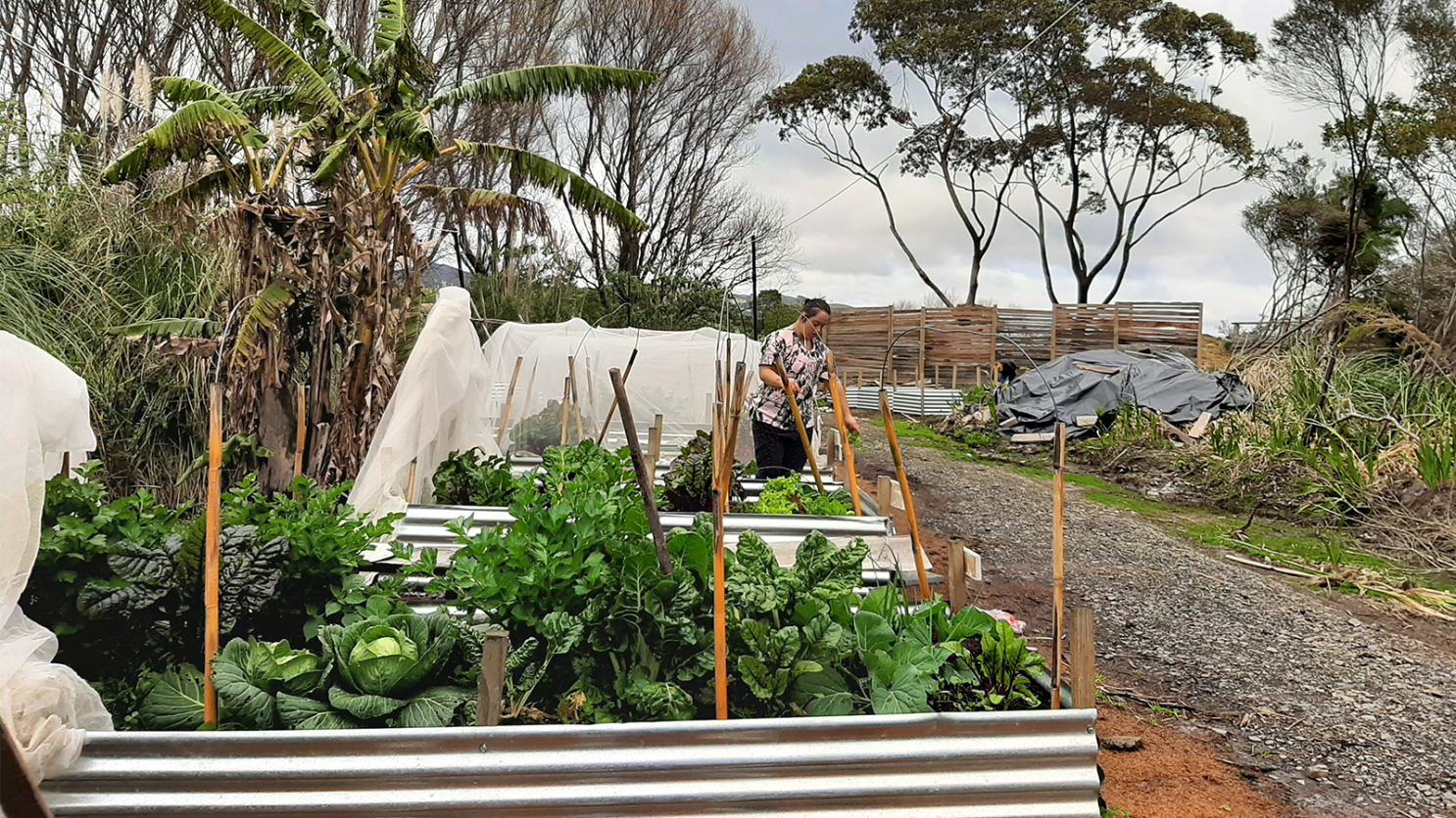 Goodlife Project Side by Side Desktop