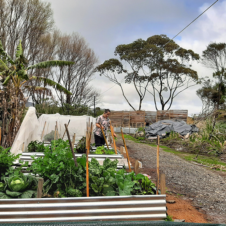 Goodlife Project Side by Side Phone