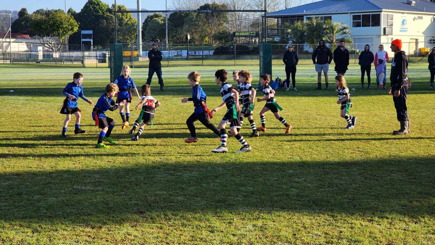 460575040 1263003754663218 1163560485533269101 n