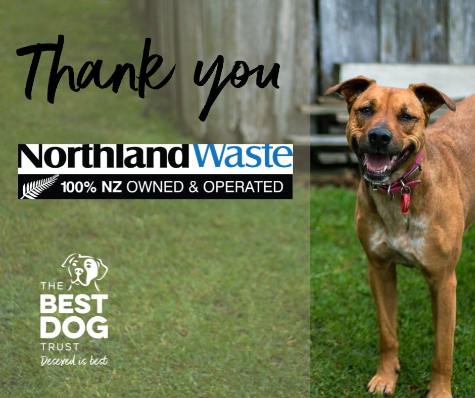 486667185 961118206214583 7007359837298887597 n v4