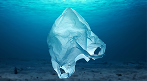 Seacleaners Thumbnail Bag