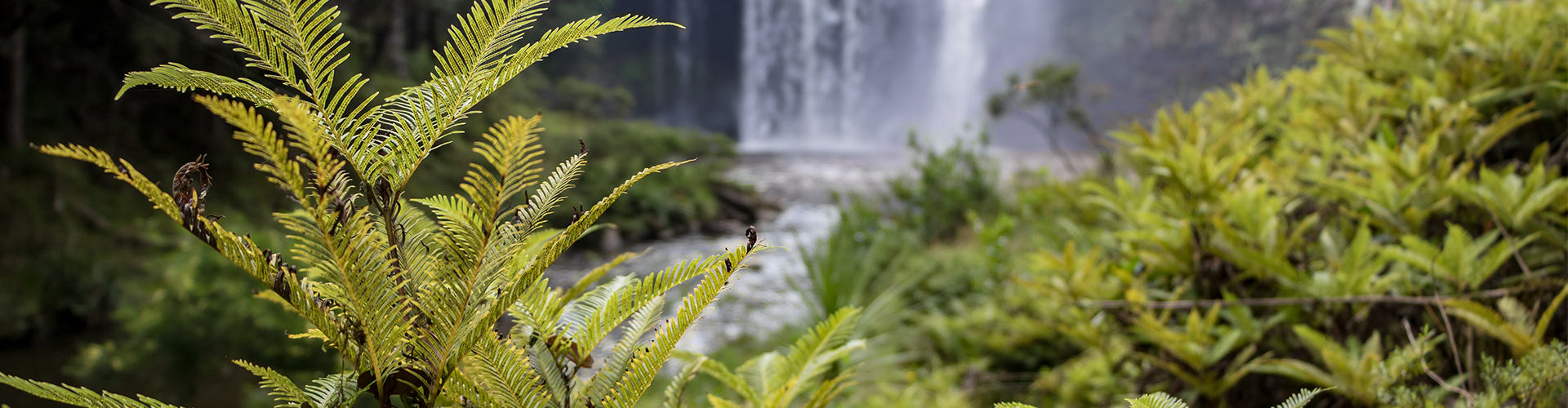 Sustainablilty hero banner desktop